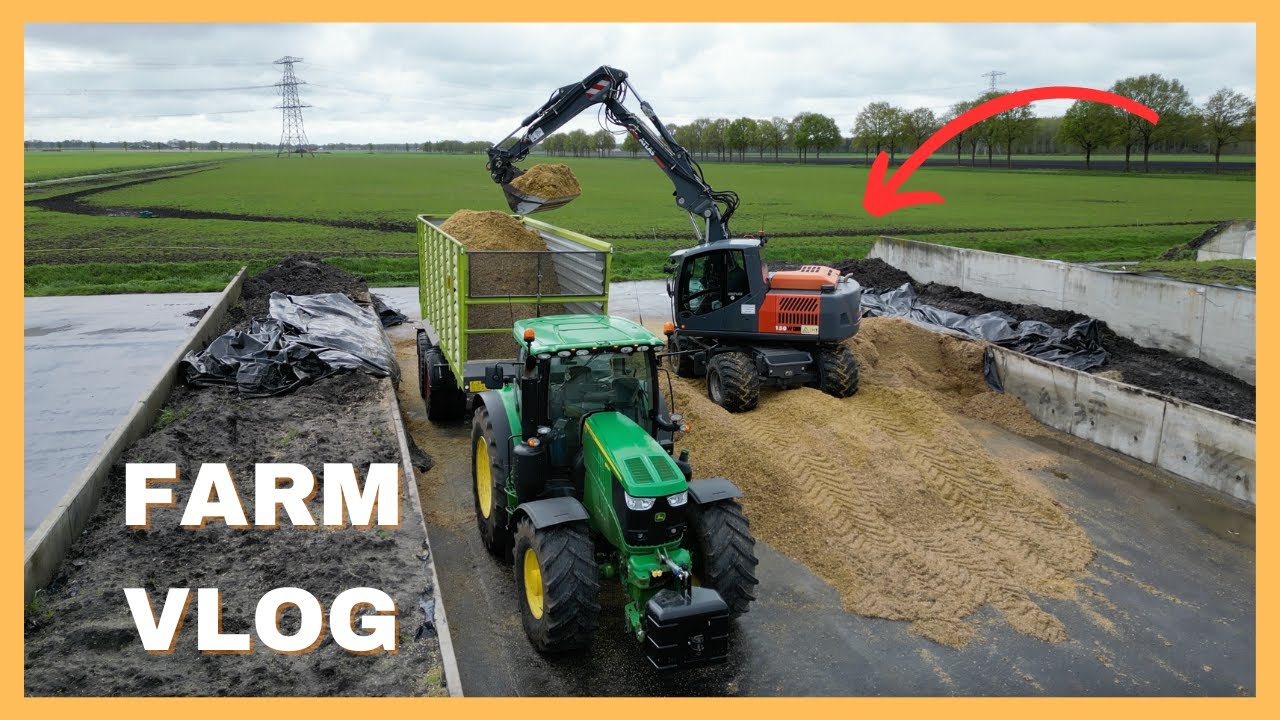 MAIS Overkuilen - & - Vliegen Bestrijding - Dutch Farm Vlog