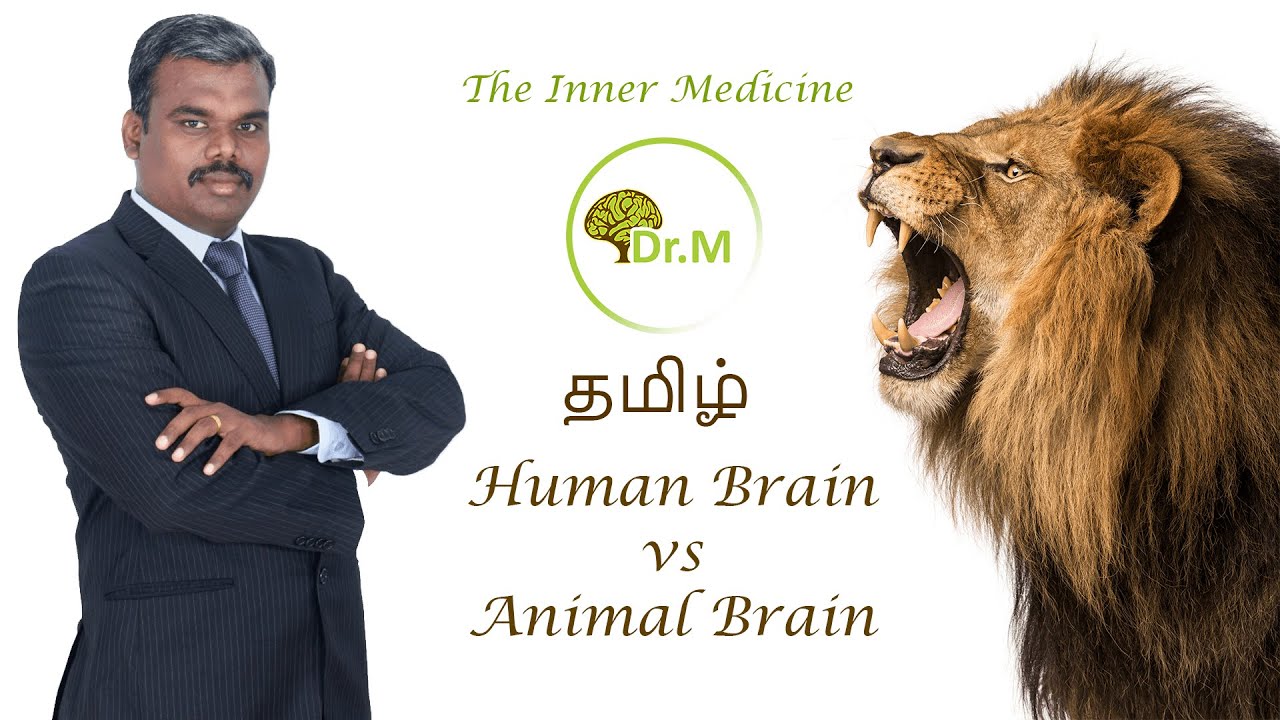 Human Brain vs Animal Brain [Tamil] | Dr.M - The Inner Medicine