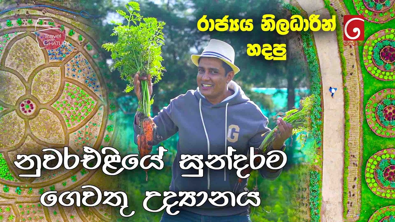 රාජ්‍යය නිලධාරීන් හදපු නුවරඑළියේ සුන්දරම ගෙවතු උද්‍යානය | Travel with Chatura
