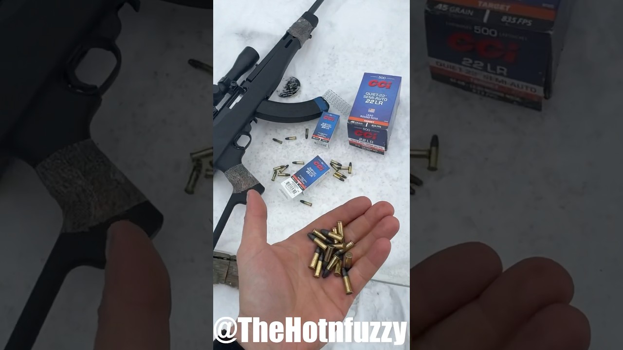 САМЫЕ ТИХИЕ боеприпасы .22LR