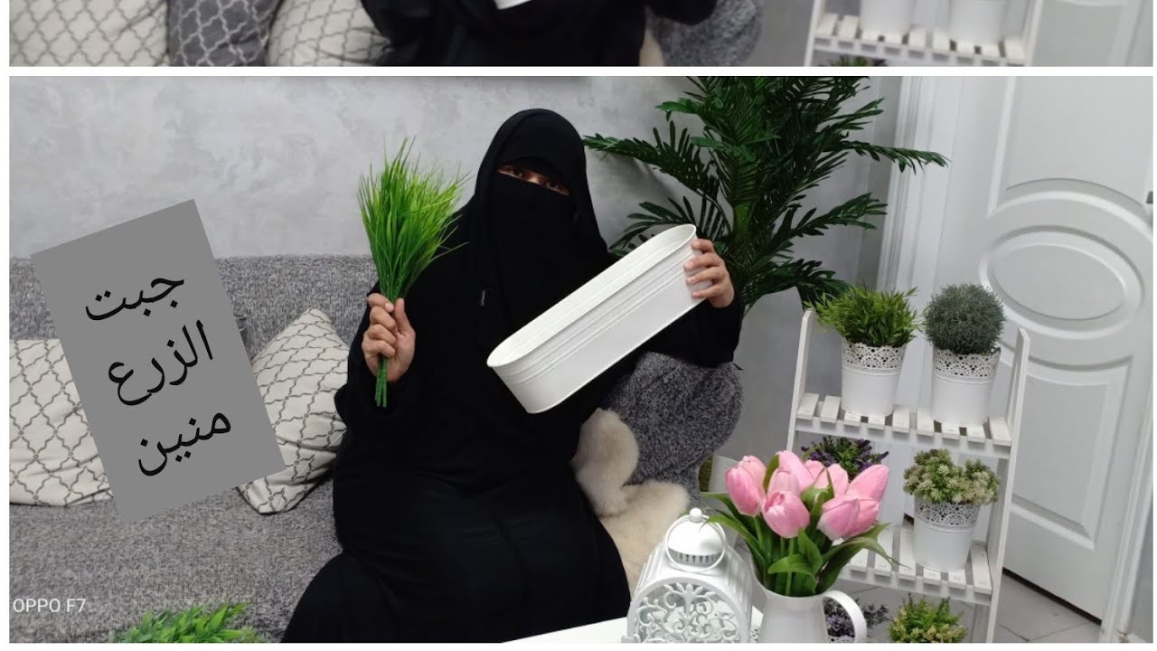 عملت  زرع ايكيا بربع التمن .بجيب الزرع بتاعي منين .و ازاي انسق الزرع و طريقه ترتيبه