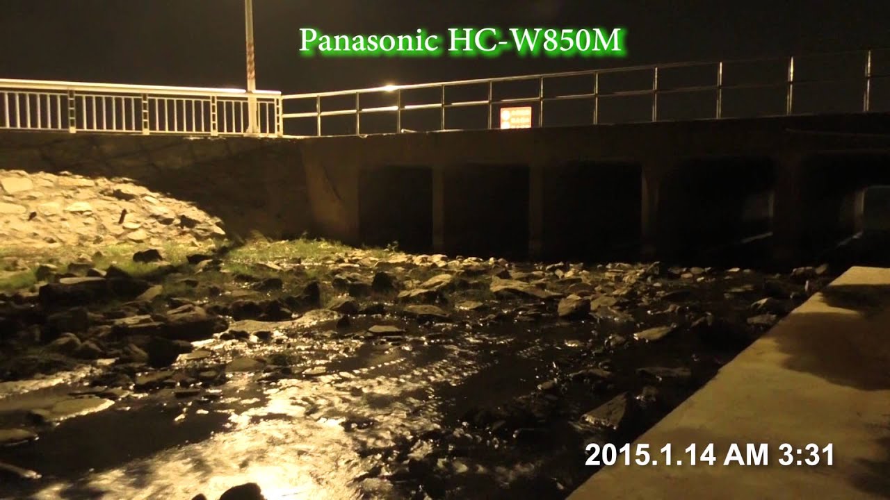 Otters in Kinmen