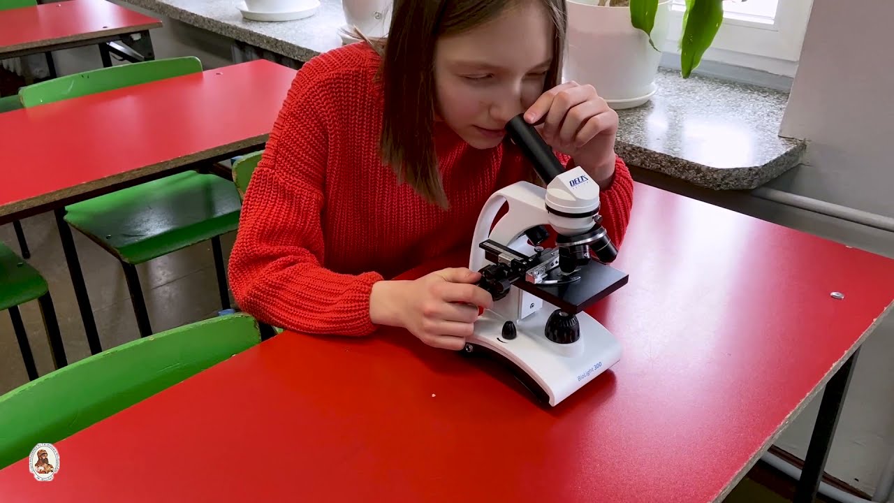 Szkoła Podstawowa nr 5 im. Mieszka I - spacer po szkole