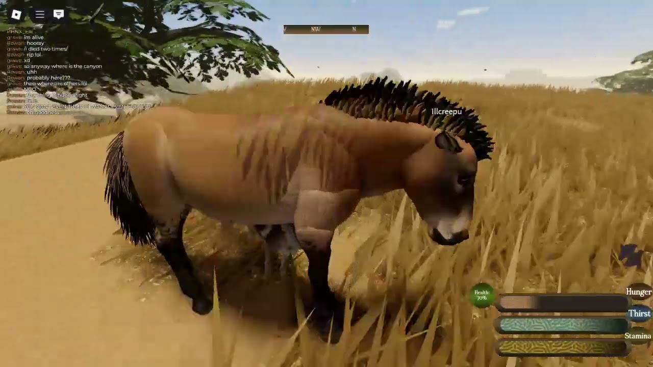 Hunting horse and killing it as wolf.