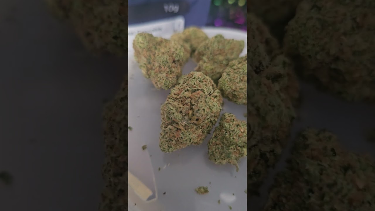 Dank Of England DOE Britz Review