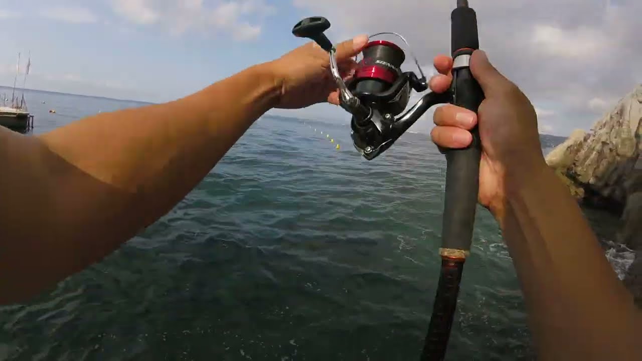 Session de pêche rapide : poissons lézards