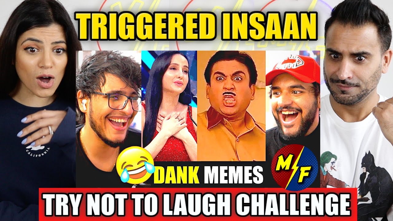 Try Not To Laugh Challenge vs My Brother (Dank Memes Edition) | TRIGGERED INSAAN | REACTION!!