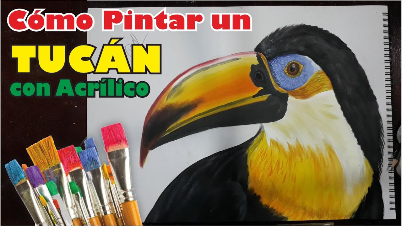 Como pintar un tucan con pintura acrilica