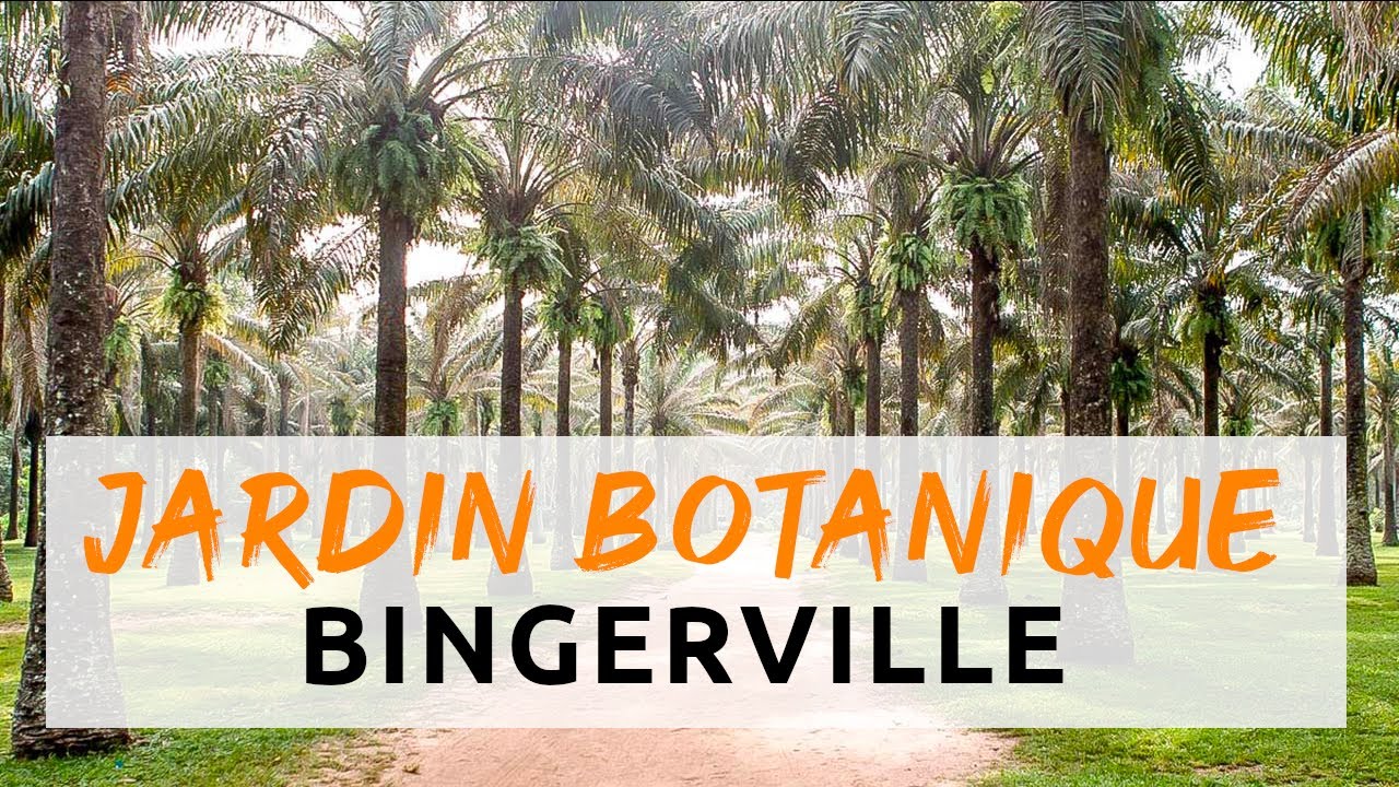 LES MERVEILLES CACHÉES DU JARDIN BOTANIQUE DE BINGERVILLE, ABIDJAN, CÔTE-D'IVOIRE