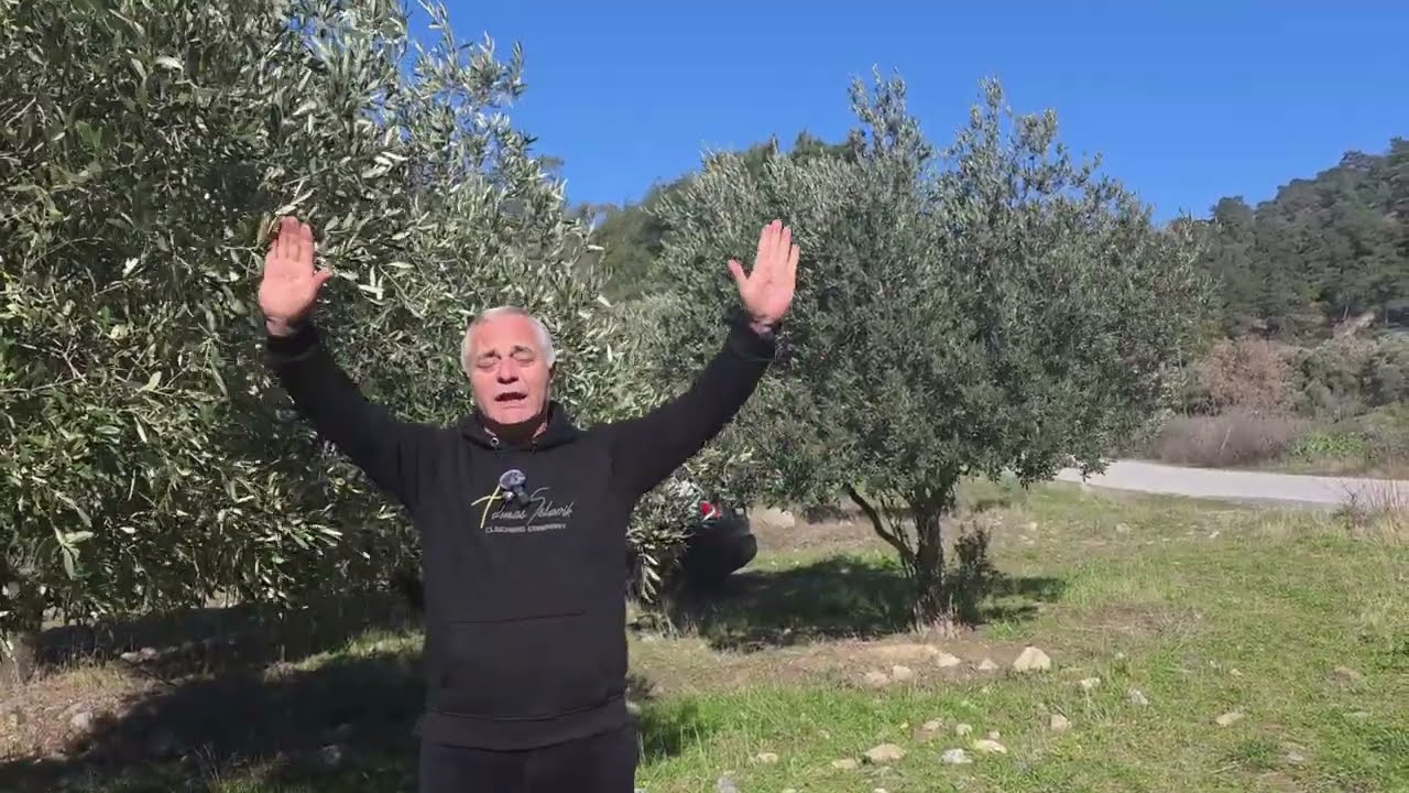 AYDIN'DA SATILIK 15 DÖNÜM ZEYTİNLİK DÜMDÜZ ASFALT YOLA 0 300+ ZEYTİN AĞACI VAR DAHA İYİSİ YOK !