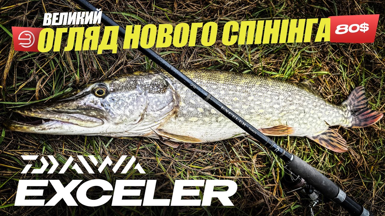 Огляд новинки 2024 - СПІНІНГ DAIWA EXCELER! ГАРНА рибалка на Десні + щука на твіч на ставку поряд!