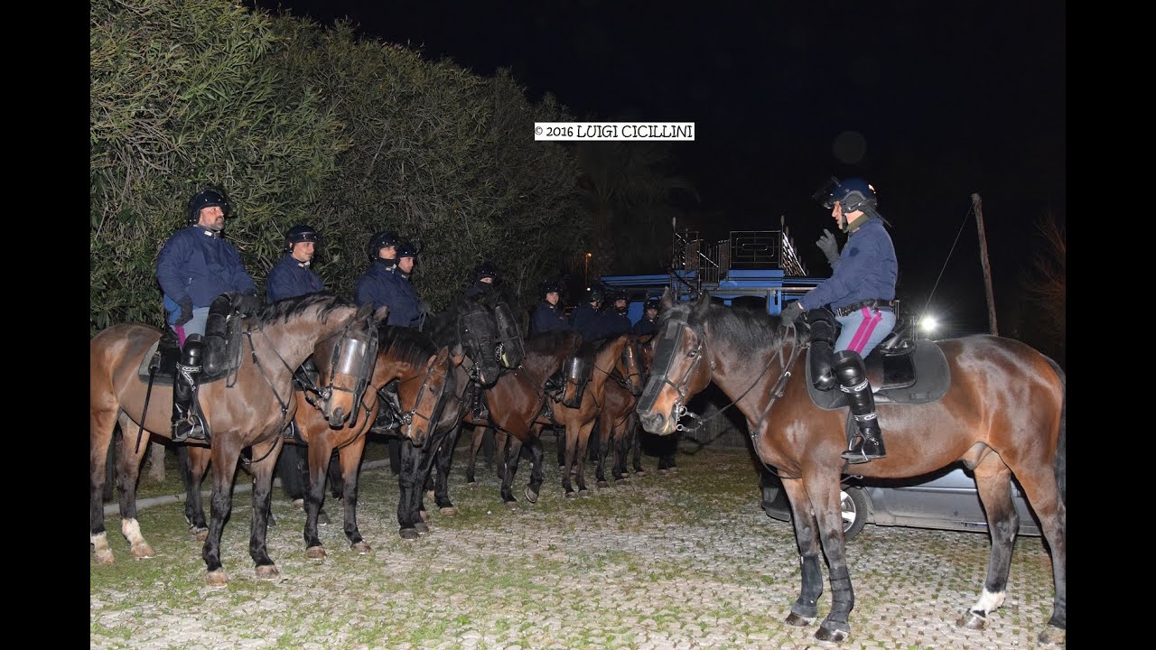 LA POLIZIA A CAVALLO DI LADISPOLI IN ESERCITAZIONE PER LE STRADE DELLA CITTA'
