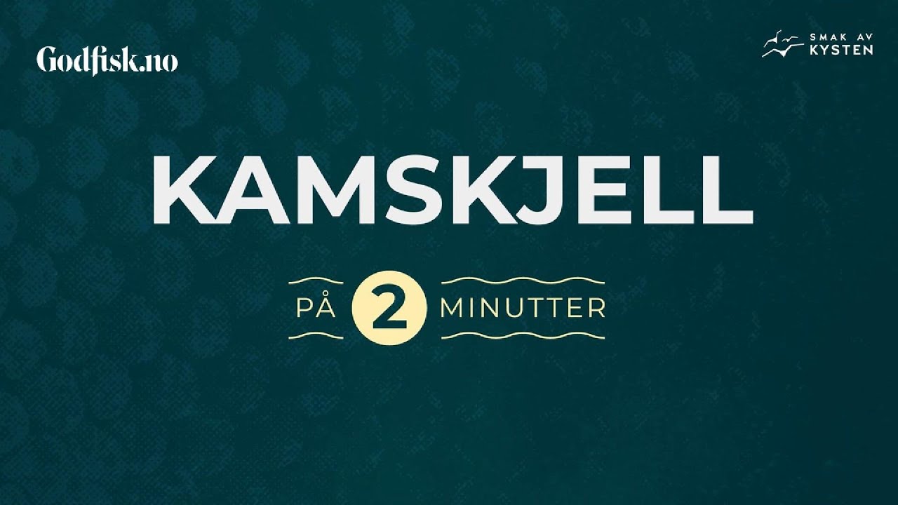 Kamskjell (Scallops)