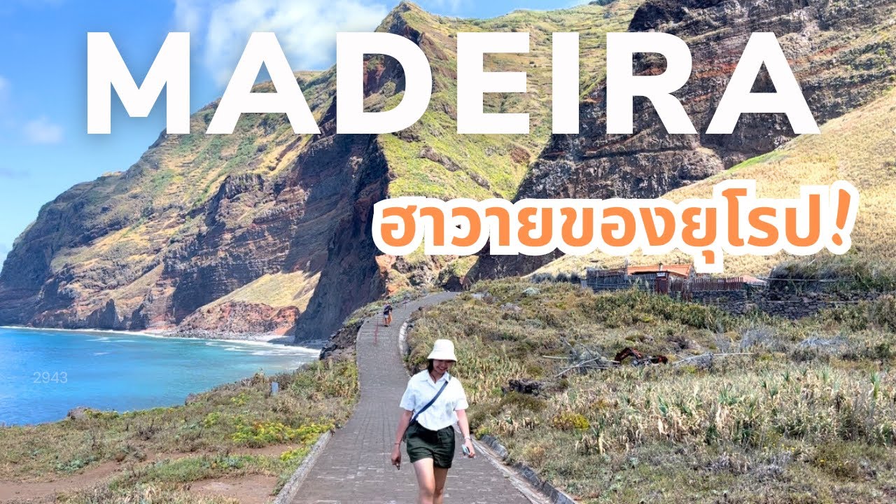 Madeira 🇵🇹 เกาะนี้มีอะไร ถึงถูกเรียกว่าฮาวายยุโรป