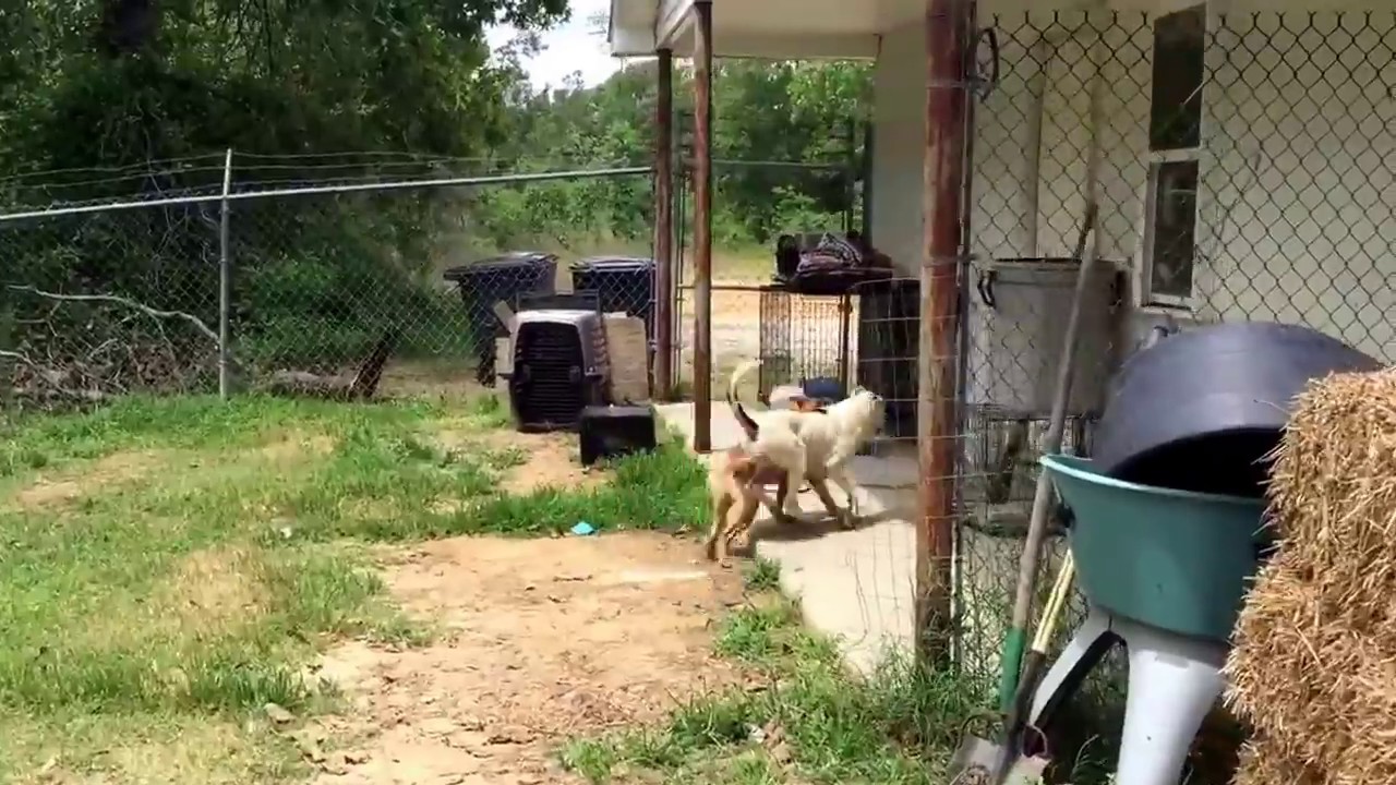 Slim, Miss P, and Hazel