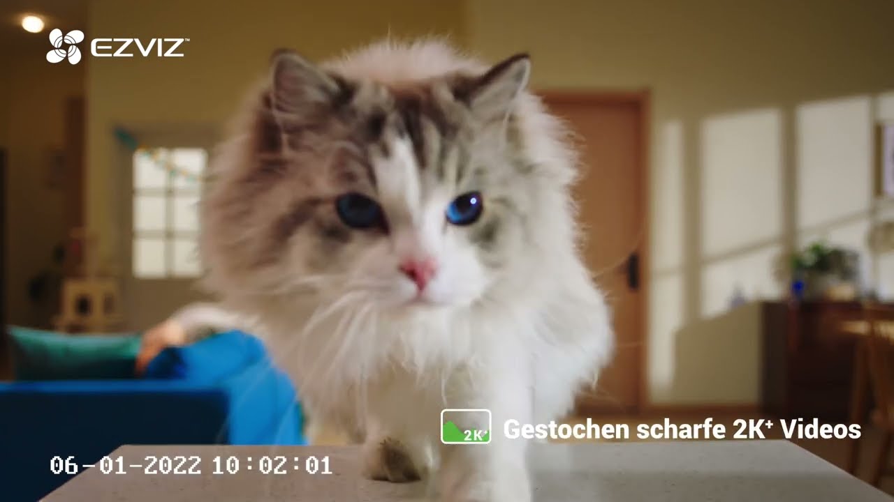 EZVIZ C6 - Schutz einfach und erfreulich gestaltet