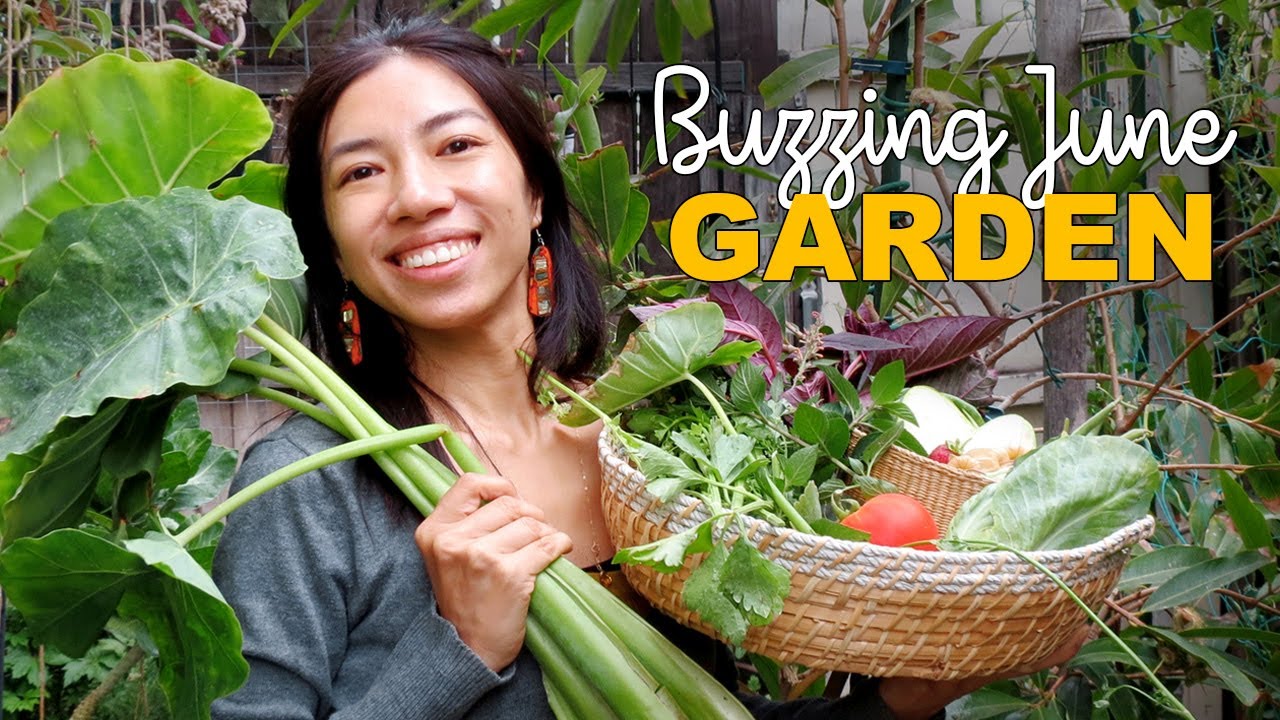 Eventful June Garden Tour