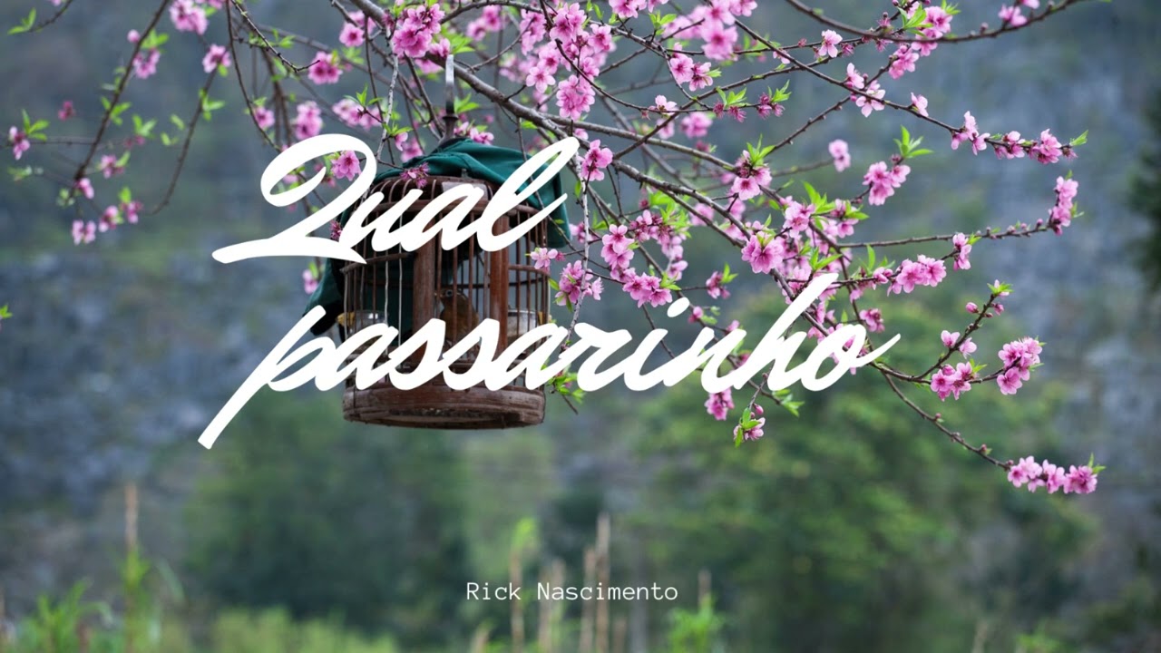 Qual passarinho - Rick Nascimento - Hino Avulso CCB