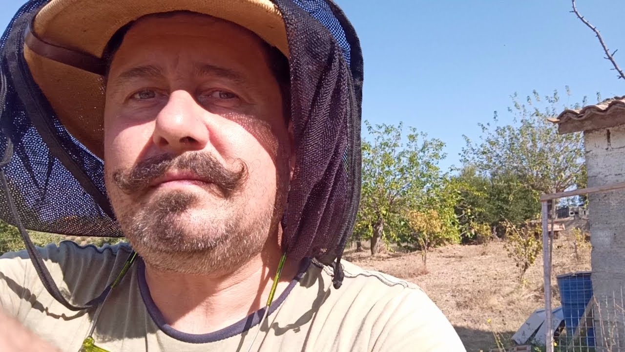 Miele Locale. Acido Formico per Infestazione da Varroa. Vediamo se le Spugne Funzionano? Pt2