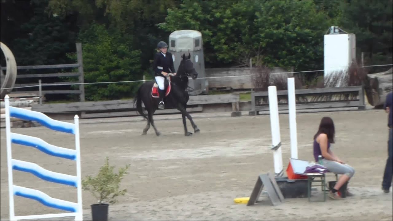 E-Stilspringen 80 cm Schönau :)