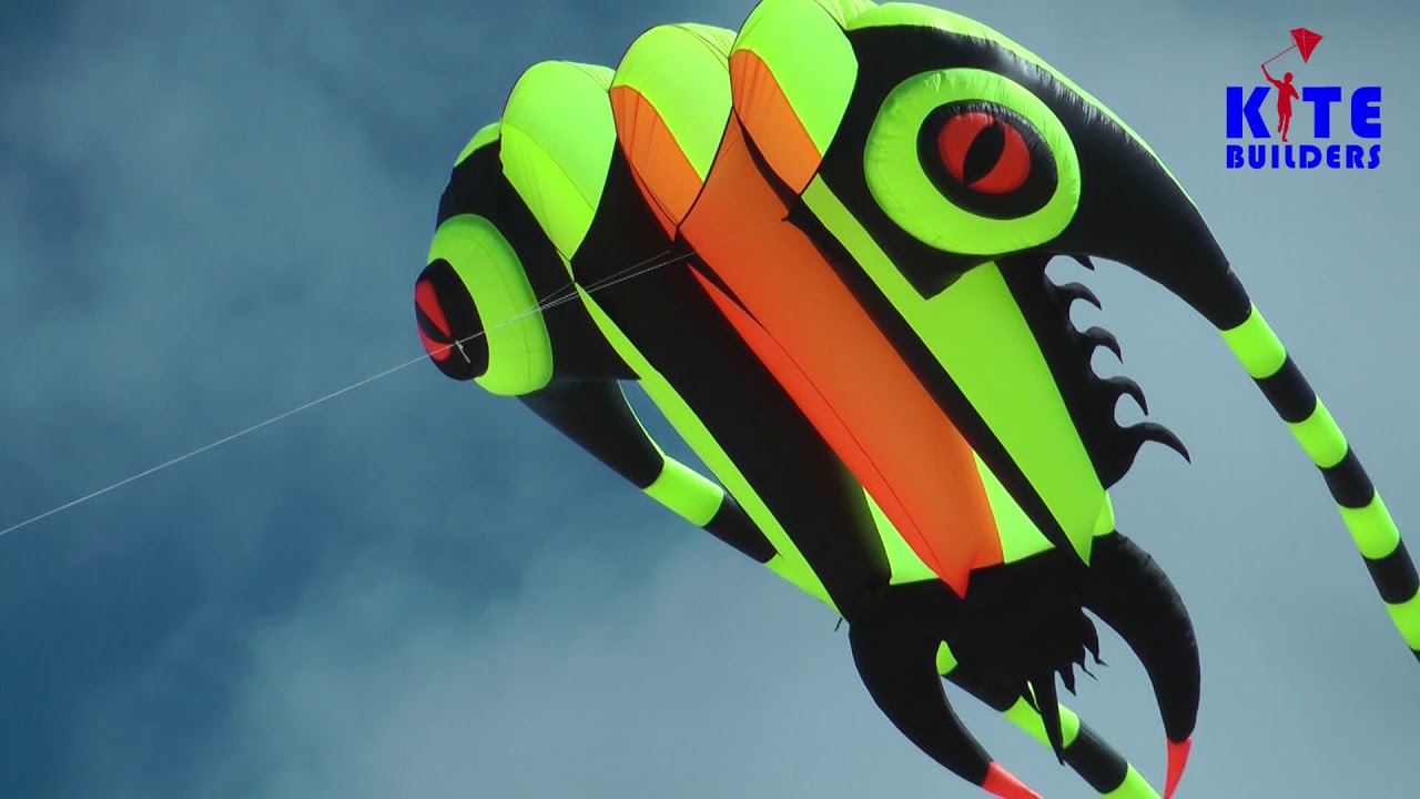 Trilobite by Kaixuan, a detailed review of a great kite (ENGLISH)