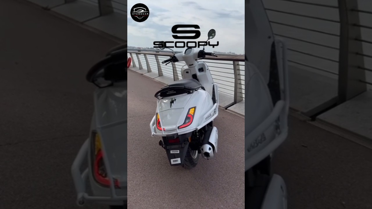 KEREN 🔥 COCOK JADI HONDA SCOOPY 150 NIH 🔥🔥 BODY NYA DEMPLON BANGET #honda #yamaha #motorterbaru2025