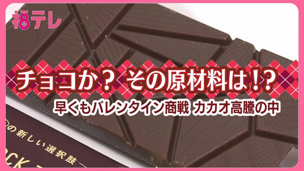 カカオじゃなくてヒマワリの種…本当にチョコの味！？　原材料高騰で新商品　バレンタインでも注目