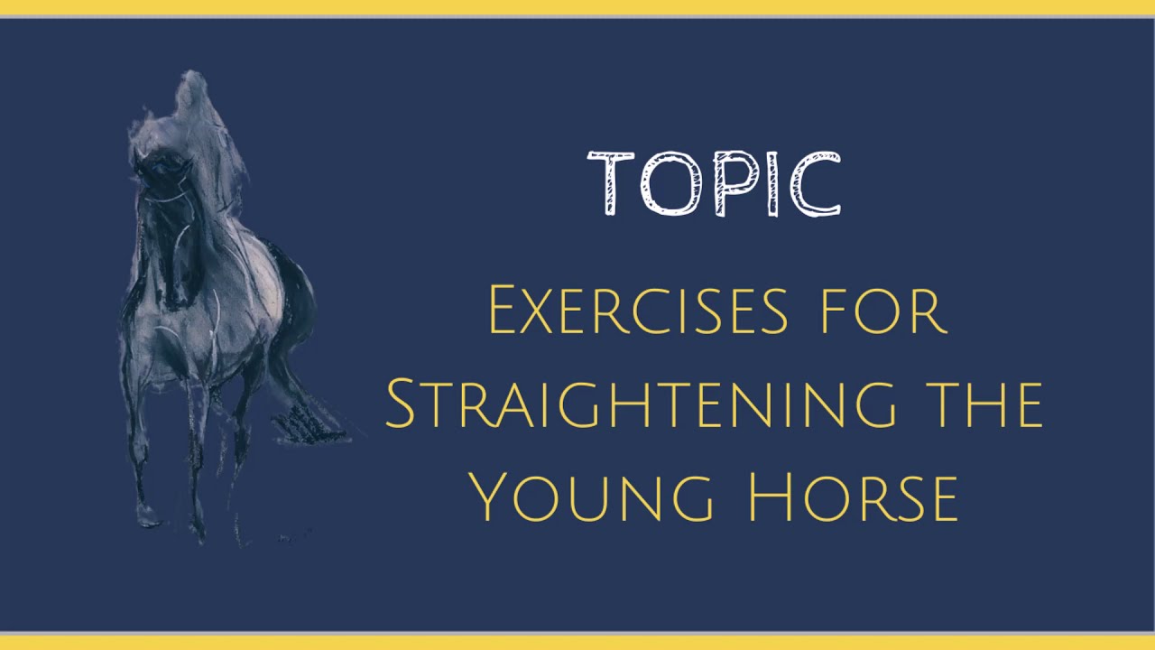 Exercises for Straightening the Young Horse