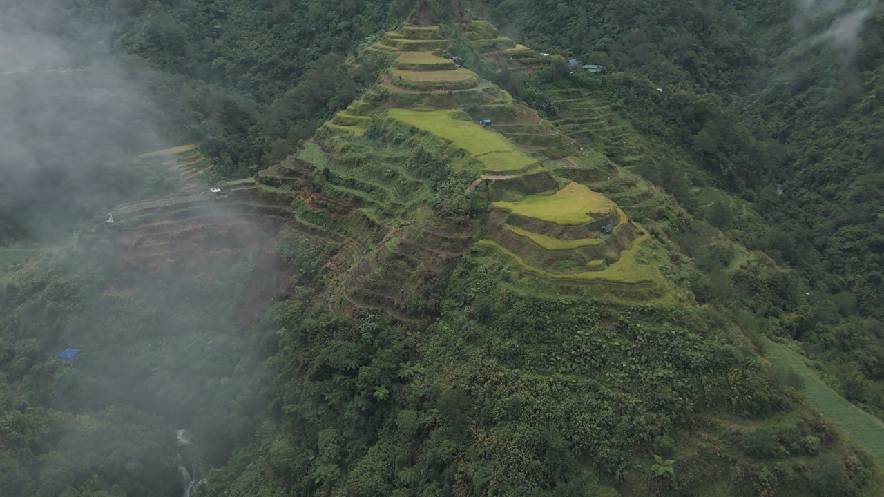 Cordillera Diaries