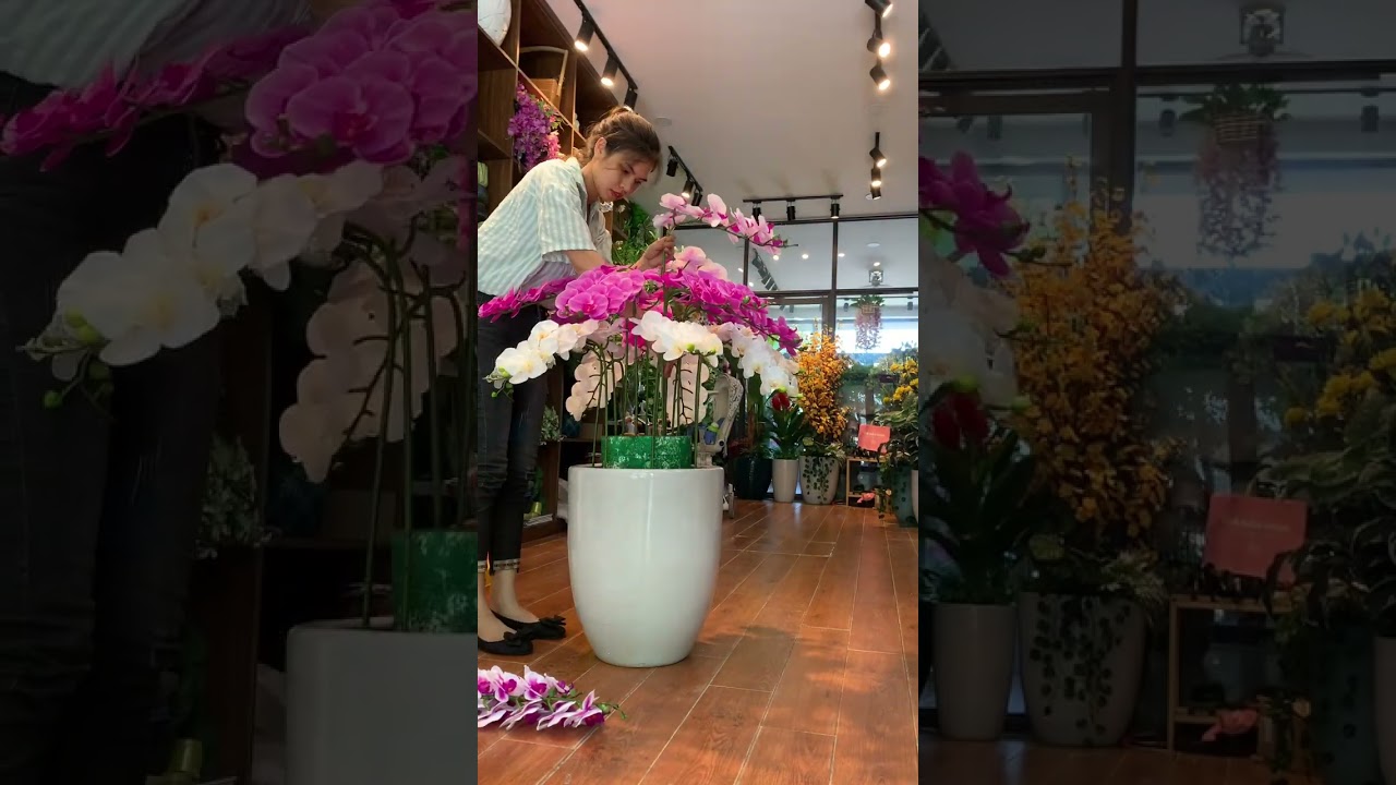 Hướng Dẫn Cắm Hoa Lan Hồ Điệp Nhân Tạo - Lan Hồ Điệp Giả