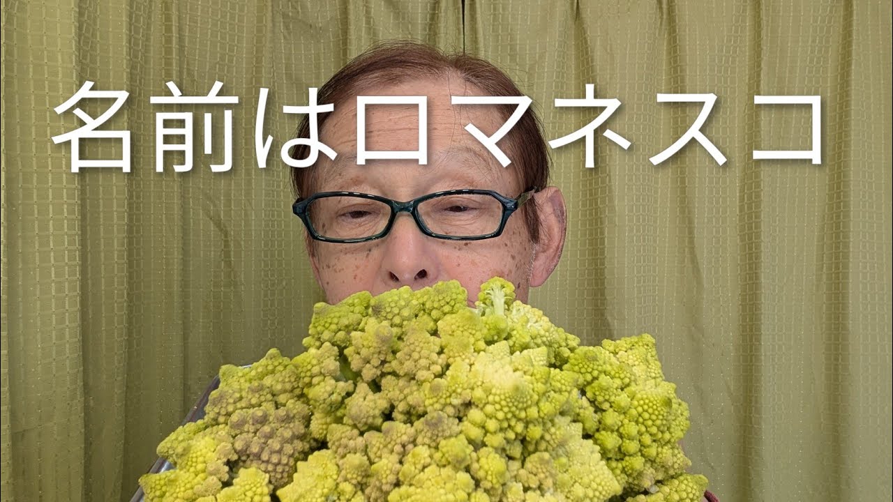 名前はロマネスコ。私の中ではゴジラの里