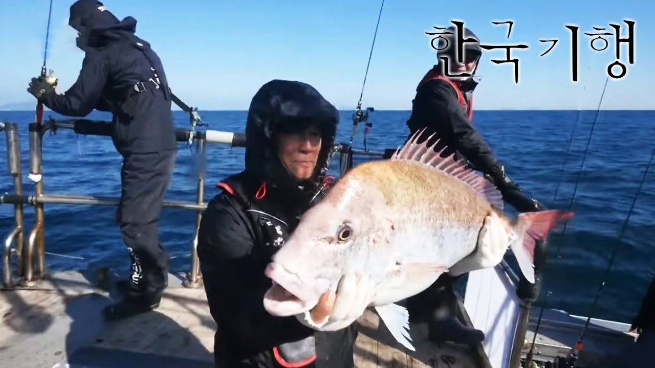 한국기행 - Korea travel_고흥이 좋아서 3부- 거금도 진 선장_#001