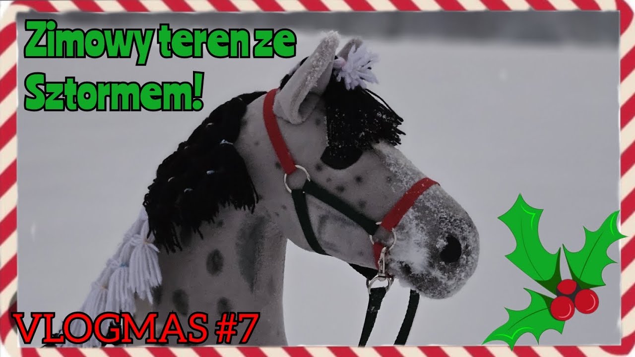 🎄VLOGMAS #7🎄 Zimowy teren że Sztormem -  Robimy kantar dla KILLENA!