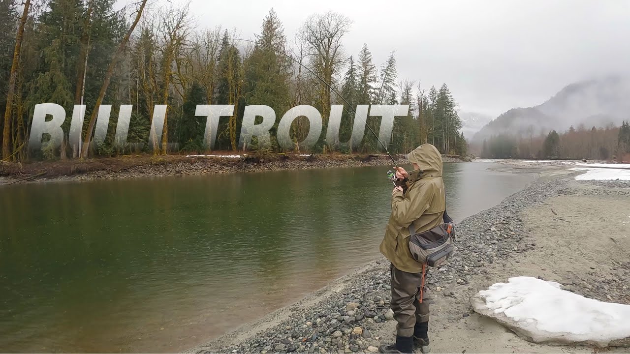 Fishing for Bull Trout in the Backcountry
