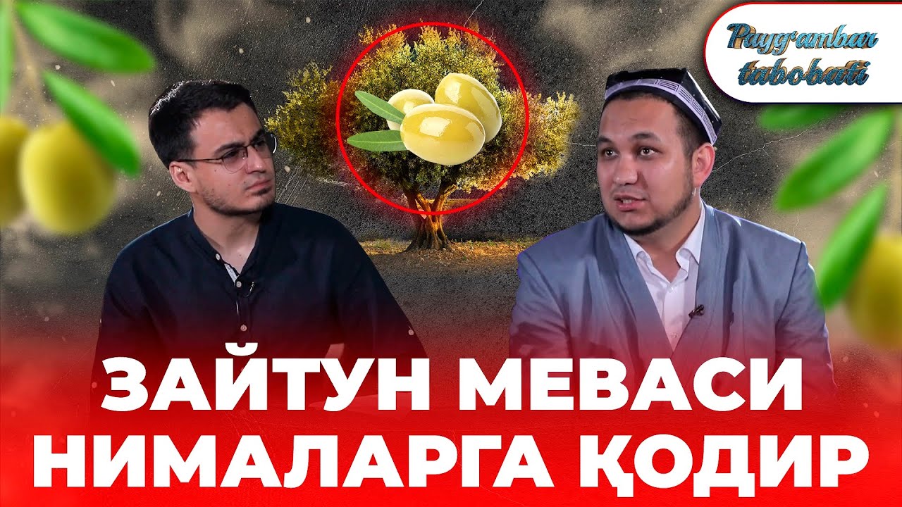 Zaytun Mevasi Xaqida Siz Bilmagan Sirlar! #PaygambarTabobati