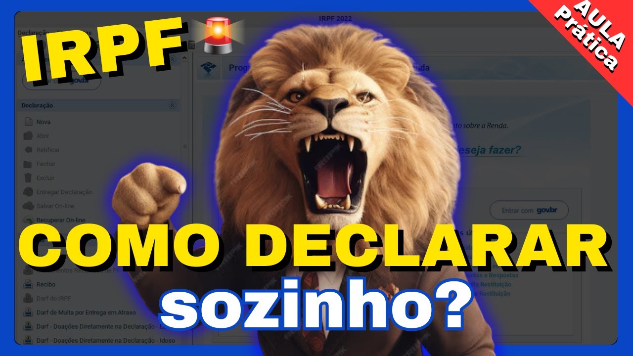⚠️ COMO DECLARAR IMPOSTO DE RENDA SOZINHO? AULA PRÁTICA | IRPF 2024: TUDO O QUE PRECISA SABER ⚠️