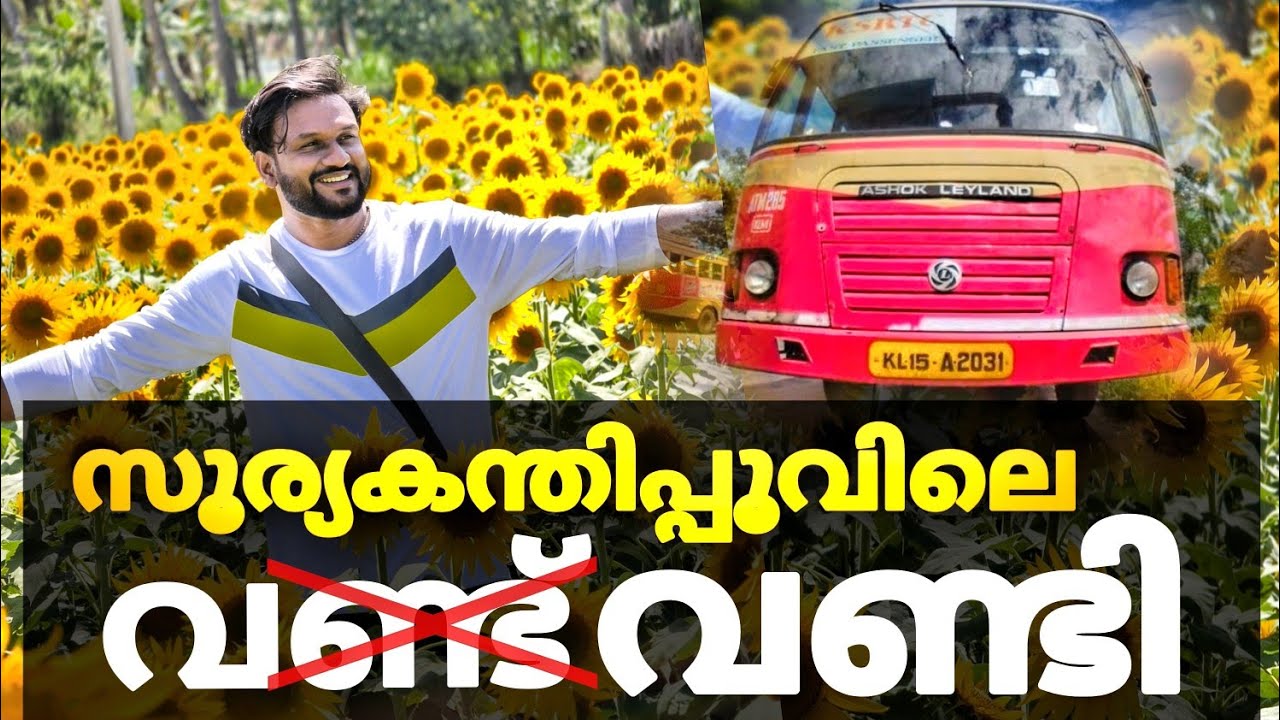 സൂര്യകാന്തിപ്പാടത്തേക്ക് എങ്ങനെ പോകാമെന്നുള്ള പാഠം..!! | sunflower season in sundarapandiapuram