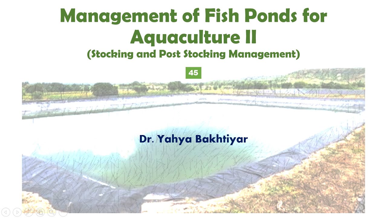 45 Management of Fish Ponds for Aquaculture II (Stocking and Post Stocking Management)