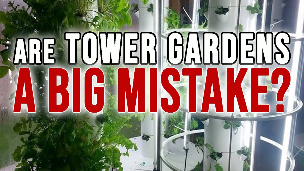 6 вещей, которые я хотел бы знать, прежде чем купить свой Tower Gardens | Tower Gardens — пустая ...