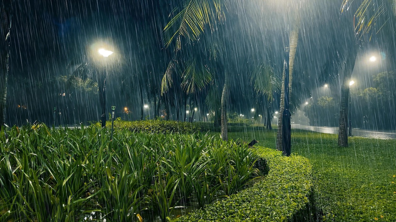 Sound Rain and Thunder at Night Park | An Ideal Rainy Space for Sleeping and Relaxing