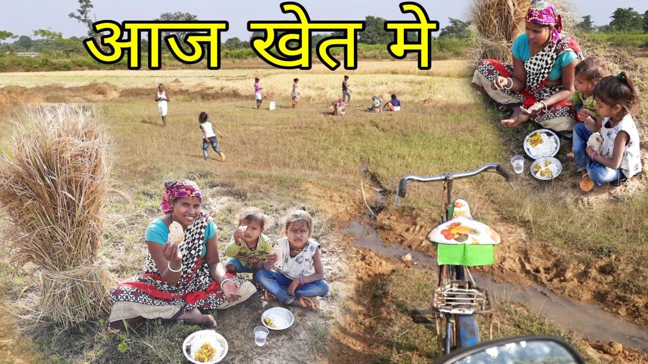 today in the field rice potato curry eating | Ramesh village family