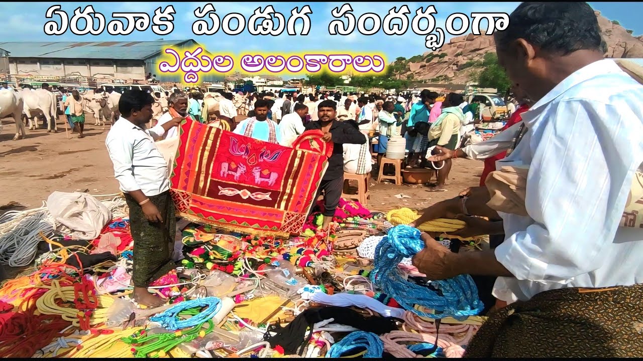 Adoni Friday bulls decorations available //Bulls DecorationsMetiryals //EruvakaPowrnami Celebrations