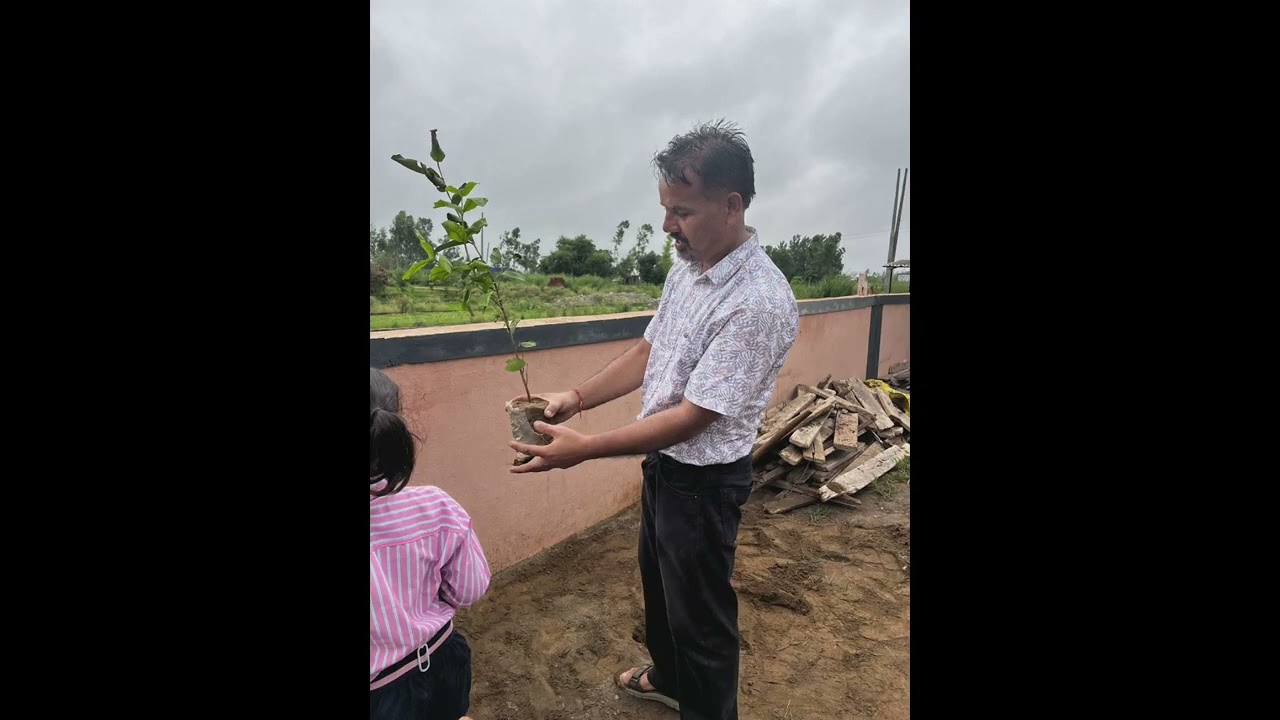 Tree Plantation Campaign... GPS Sammuchack Block Dinanagar 1 Gsp.