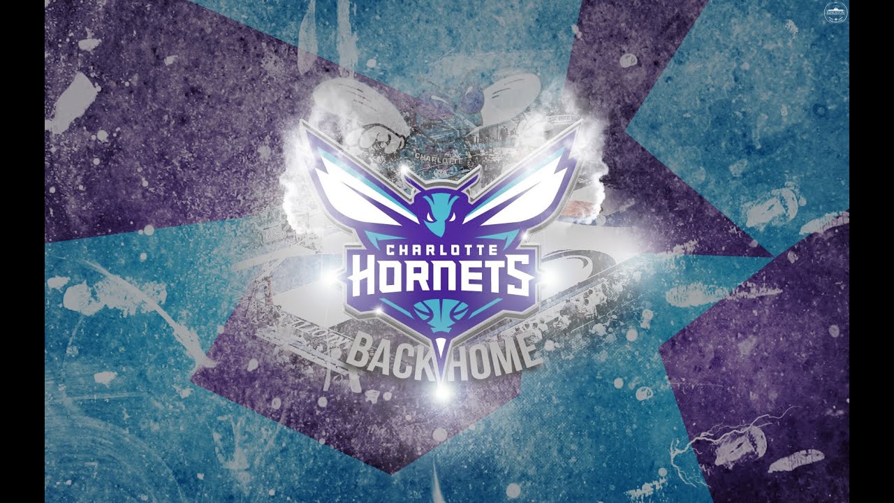 Charlotte Hornets 2014: The Revival