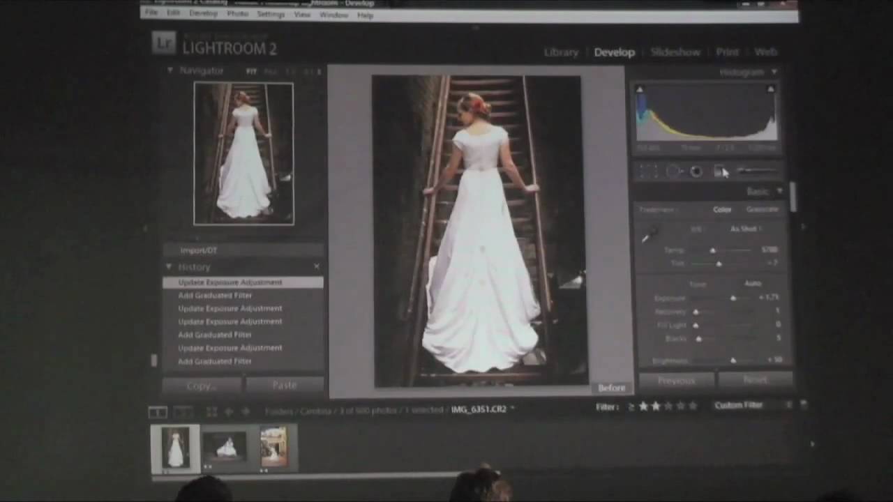 Graduated Filter tool tutorial (Adobe Lightroom 2) by David Terry