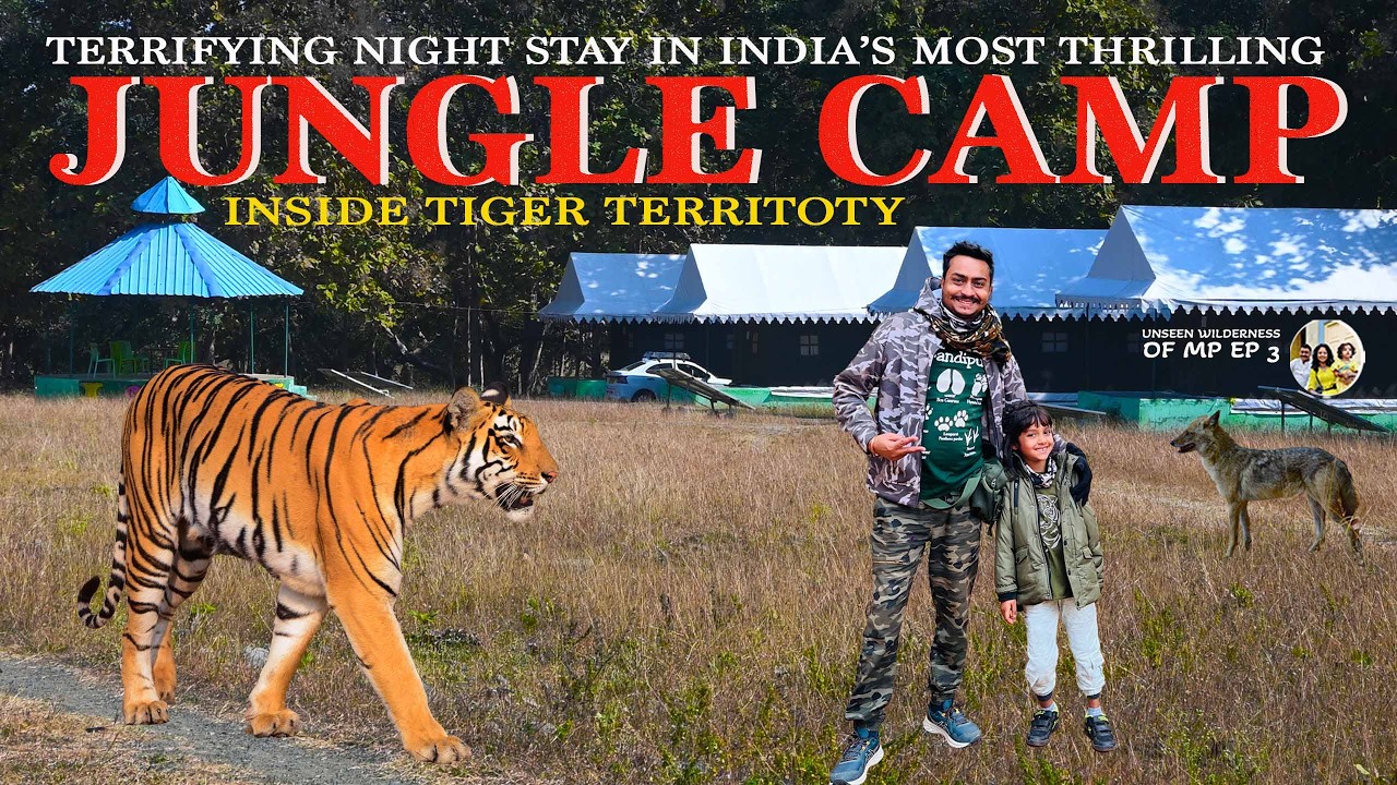 Living Inside Untouched Wilderness of MP,  India's Most Thrilling Jungle Camp inside Tiger Territory