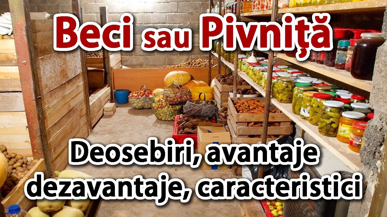Beci sau pivnita – deosebiri, avantaje, dezavantaje, caracteristici