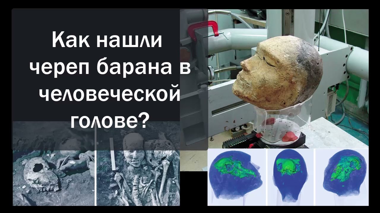 Как нашли череп барана в человеческой голове сакского периода?