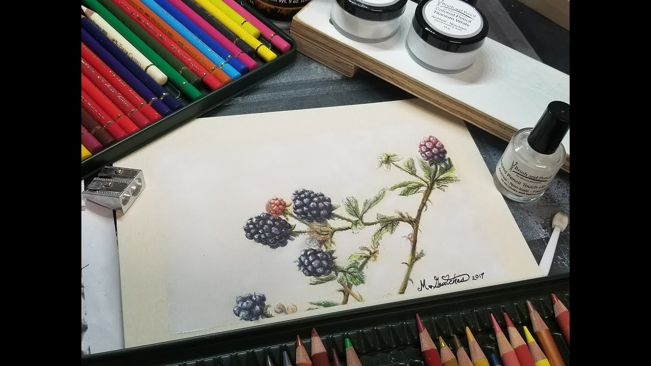 Focusing on the values rather than the colors in colored pencil