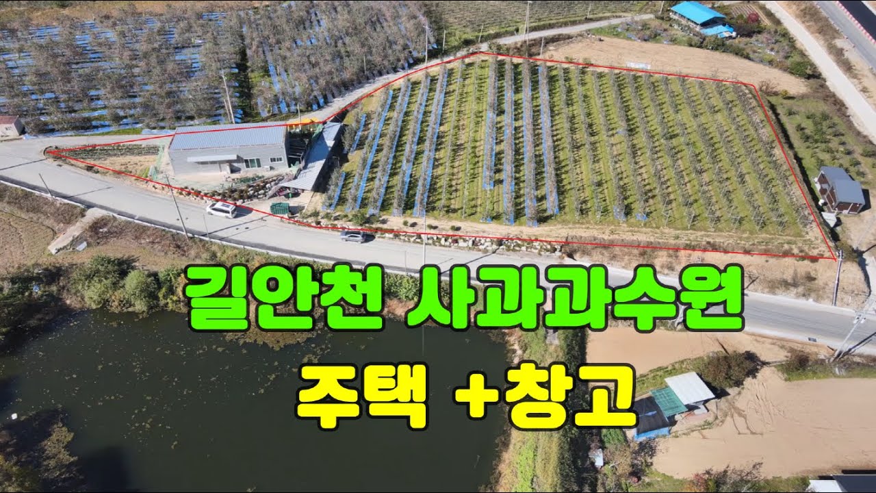 매물번호 506)길안천 사과과수원  주택+창고